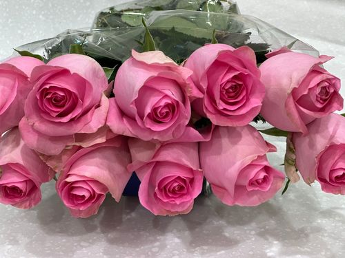 JOURI PINK 25 PIECES - 25 pcs