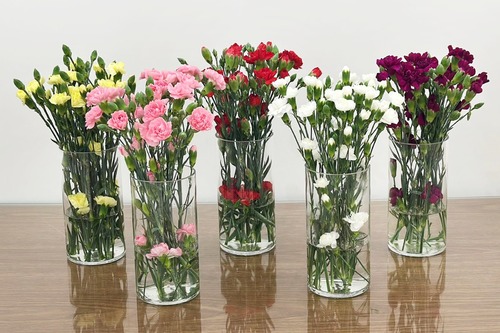 CORONFUL SPRAY VASE - 10 STEMS