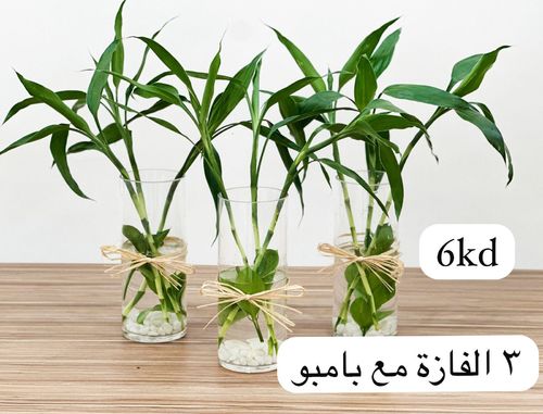 BAMBOO VASE