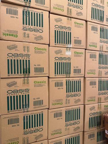 FILLING SPONGE CARTON OASIS - 1 CARTON