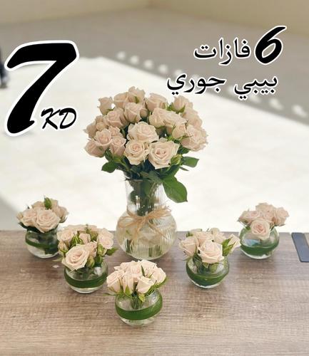 BABY JOURI 6 VASES - 6 VASES