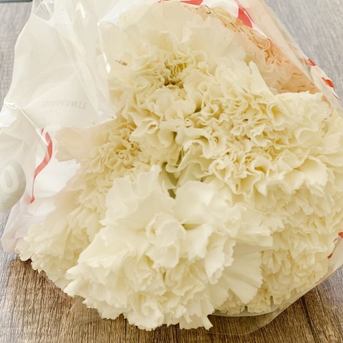 CORONFUL WHITE