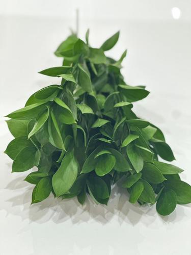 RUSCUSS - 10 pcs