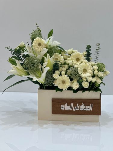جربيرا خسب مكس