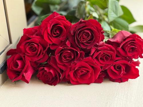 بانش جوري احمر 25 حبات - 25 حبه