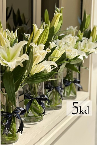 فازه كازبلنكا ابيض - 5 عود