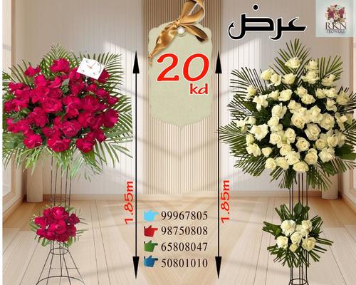 استاندات مناسبات كبير 1.80 متر