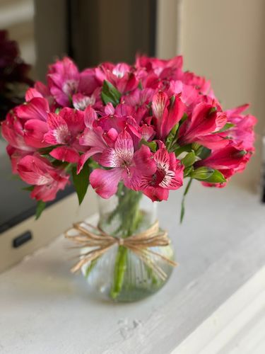 الستروميريا فازه - 10 حبه