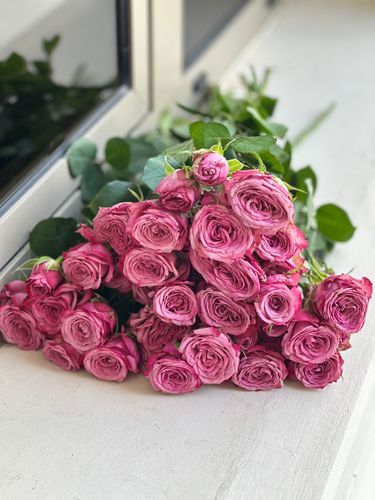 بيبي جوري بنفسجي - 10 اغصن