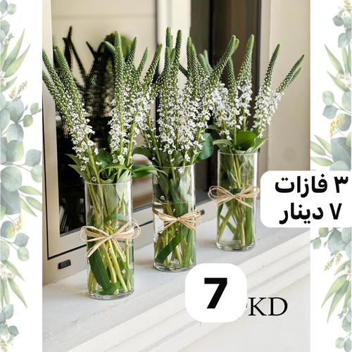 LYSIMACHIA - 3 VASE
