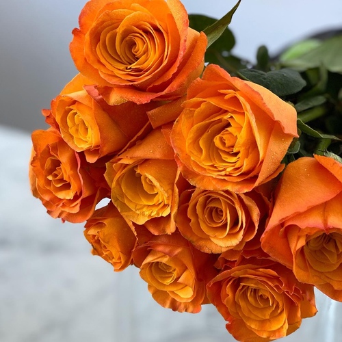 Joori (Orange) 25 Pieces - 25 STEMS ROSES