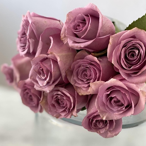 Joori (Light purple) 25 PIECES - 25 STEMS ROSES