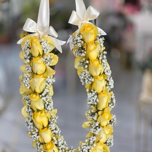 THOLK JOori with Gypso - ROSES AND GYPSOPHILIYA