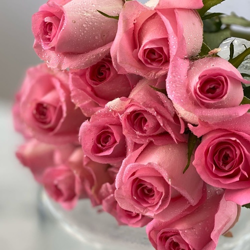 joori (PINK) 25 pieces - 25 STEMS ROSES