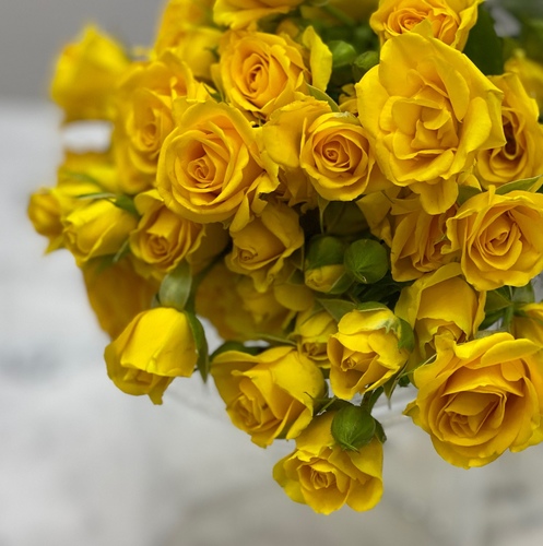 Rkn Flowers  - baby rose yellow - 10 pcs