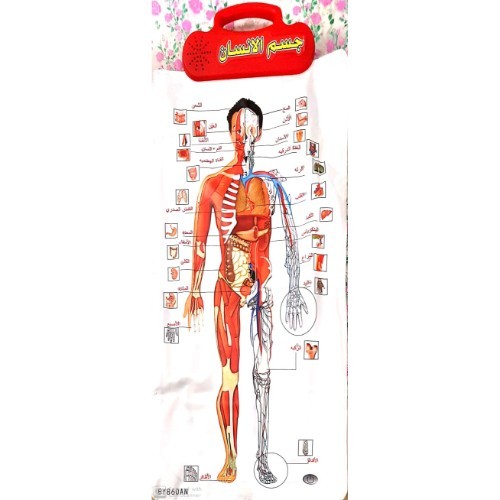 لوحة جسم الانسان الناطقة - لوحة ناطقة لكل أعضاء جسم الانسان بمجرد الضغط على العضو يتحدث باللغة العربية
