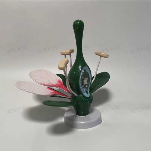 الزهرة التعليمية