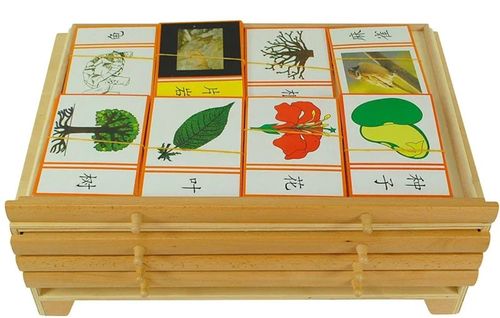 وسيلة تصنيف أوراق النبات