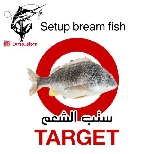 setup bream fish casting - عباره عن قصبه كروس فاير دايوا ماكس ٧ قرام الترالايت.. 
 المكينه دايوا ريفورس حجم ١٠٠٠ 
 عليها خيط حرير بيوند الامريكي ٨ ال بي 
 مع ليدر سيقار ٥ ال بي 
 فوق الستب هديه ٣ كرانكات من شركه لور انفي الاستراليه مع سناب وسبلت رنق اونر الياباني