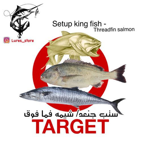 setup king fish -threadfin salmon>> - ستب الجنعد - الشيم ومافوق:- عبارة عن مكينه ريفورس الدايوا حجم 3000 عليها قصبه دايوا كروس فاير الفتناميه ميديم هيفي ماكس 28 قرام.. فوق الستب 3 ميارير الباس غنيين عن التعريف 16 قرام 10 سانتي معاهم ميرور بولكس التايقر 20 قرام سينك مع سناب 2 اونر المكينه عليها خيط حرير بيوند الامريكي 20 ال بي