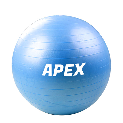 GYM BALL - 65 CM ( BLUE ) - GYM BALL - 65 CM ( BLUE )
