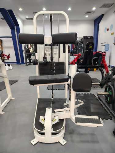 TORSO ROTATION  CYBEX