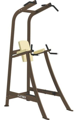 CYBEX DIP CHINN LEG RAISE CY-16185