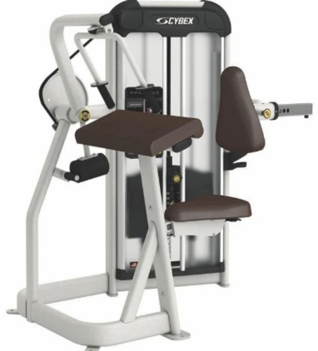 ARM EXTENSION -CYBEX