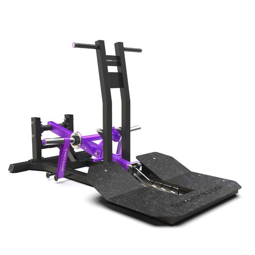 BELT SQUAT
