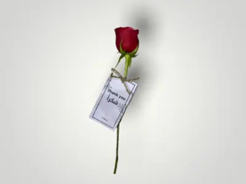 Single Rose Favor - Single Rose with Card