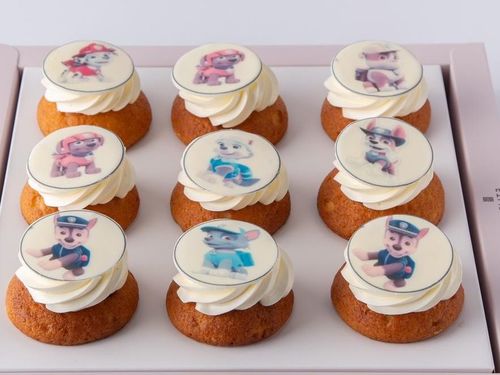 Kids Cupcakes 6 - 9 vanilla cupcakes