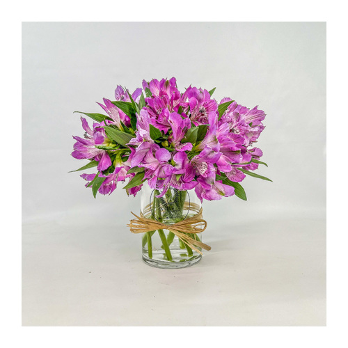 VASE  ALSTROEMERIA