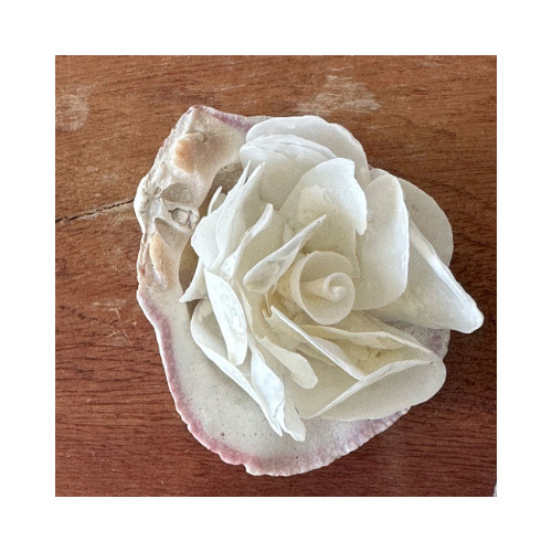 Shell 2 - A handmade shell flower to remind us the serenity of the sea, the smell of salty air and how the water feels on your skin.