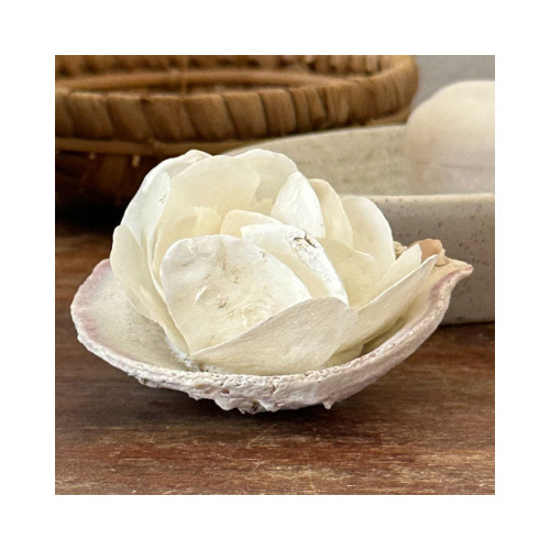 Shell 3 - A handmade shell flower to remind us the serenity of the sea, the smell of salty air and how the water feels on your skin.