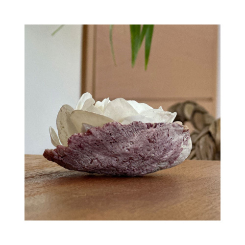 Shell 1