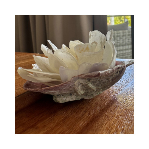 Shell 4