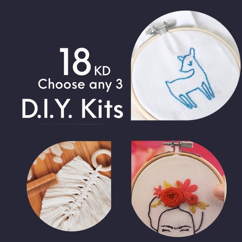 3 DIY Kits