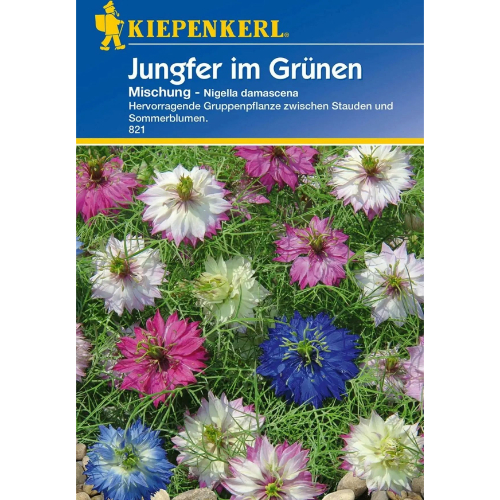 Jungfer Im Grunen