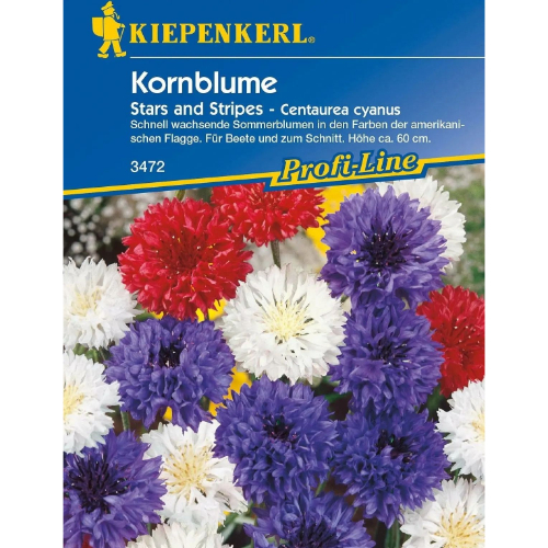 Kornblume Stars and Strips