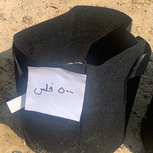 حوض قماش ٢ جالون