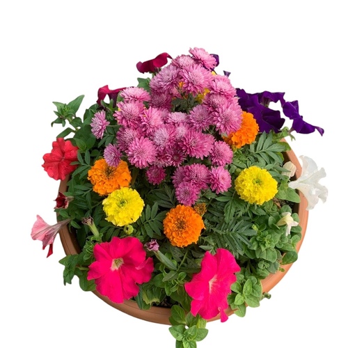 زهور مشكله حوض ديكور كبير