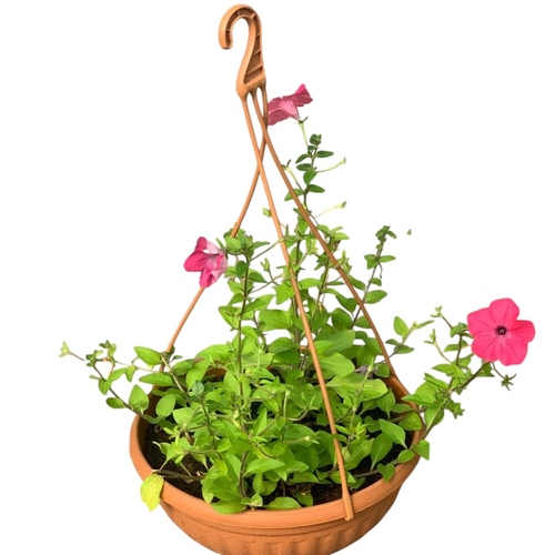 بيتونيا معلقه حوض ديكور كبير