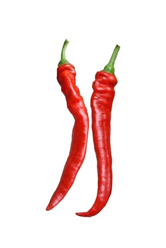 أميزنغ سيدز - فلفل جيمي نارديللو كايين حلقة النار - The uncanny sweet, fruity flavor makes these peppers tempting and delightful eaten straight off the plant, but traditional Italian cuisine typically uses them for frying. The long 8”-10” slender fruits begin green and ripen to red. A super productive, disease-resistant and low-growing 20”-24