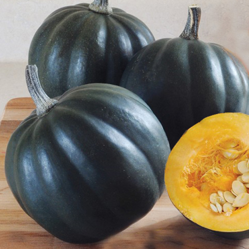 Tuffy Squash    / Tuffy