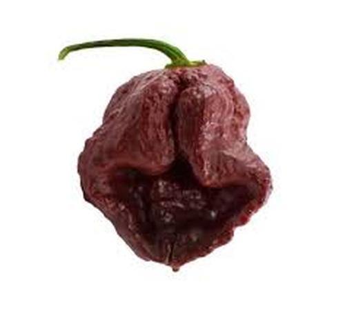 Trinidad Scorpion 7 Pot Douglah chocolate Crazy Hot Sandia