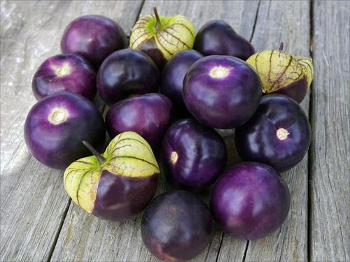 Purple Tomatillo