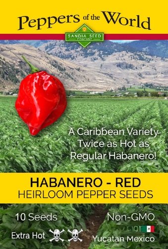 Habanero Red Caribbean Sandia Extra Heat - Caribbean Red Habanero  -Twice as hot as the regular habanero! Its fruity flavor is a fine addition to make extra spicy salsas, marinades and for some very hot sauces. It originates from the Yucatan Peninsula in Mexico and will grow well in northern climates. Easy to grow. The red pods are 1-1/2