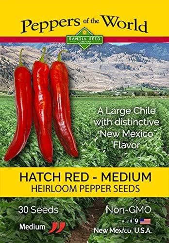 Hatch Red Pepper medium Heat Sandia - This Hatch Red Hot is ideal for making red chile powder because of its thin walled skin. Peppers reach full size when they are green in color and when left on the plant they will mature to red. The thin skin of this variety makes it better for dehydration than the NuMex Sandia Select which has thicker flesh. The 6”-9” pods have a spicy chile flavor and matures early and produce well in high temperatures. The thin walls allow it to dry quickly after harvest for making red chile powder. Plants grow 30-36” tall.  Capsicum annuum (80 days) Heirloom - Open-Pollinated Heat Level: Hot   Scoville: 6,000 - 7,000 ~ Packet contains 30 seeds.  In early spring, start seeds indoors 8 weeks prior to warm nightly temperatures. Place the seeds in sterile media and cover 1/4” deep. Provide 85°F bottom heat, bright light and keep moist at all times. Seeds will germinate in 7 - 21 days. Transplant seedlings into pots and grow until there are 6 true leaves on the plant. Plant them directly into rich soil, 30” apart or into large 5 gallon containers. Harvest chiles when they are red.