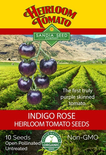 Indigo Rose Black Tomato Sandia Organic - Open-pollinated heirloom  (75 days)

Fruit Color: Purple. Shape: Round. Size: 1-2 oz. Plant Habit: Indeterminate  Plant Size: 3’ The first truly purple skinned tomato with clusters of round 2