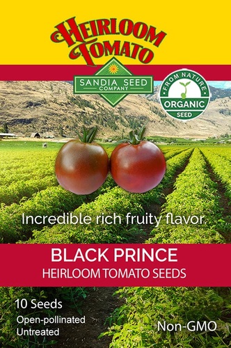 Tomato Black Prince Organic Sandia - Open-pollinated heirloom  (70 days)

Fruit Color: Purple-Black. Shape: Round. Size: 5 oz. Plant Habit: Indeterminate. Plant Size: 6-8’ One of the most popular early and sought after black heirloom tomatoes. It is full of juice and incredibly rich fruity flavor. Also, has considerable health benefits. Great for patio gardens. History: Originally introduced in Irkutsk, Siberia Russia. Regarded as a true northern variety and has excellent growing qualities suited for cooler climates.  Organic Heirloom Non-GMO    10 Seeds